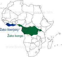 mapa výskytu Papagájov Žako